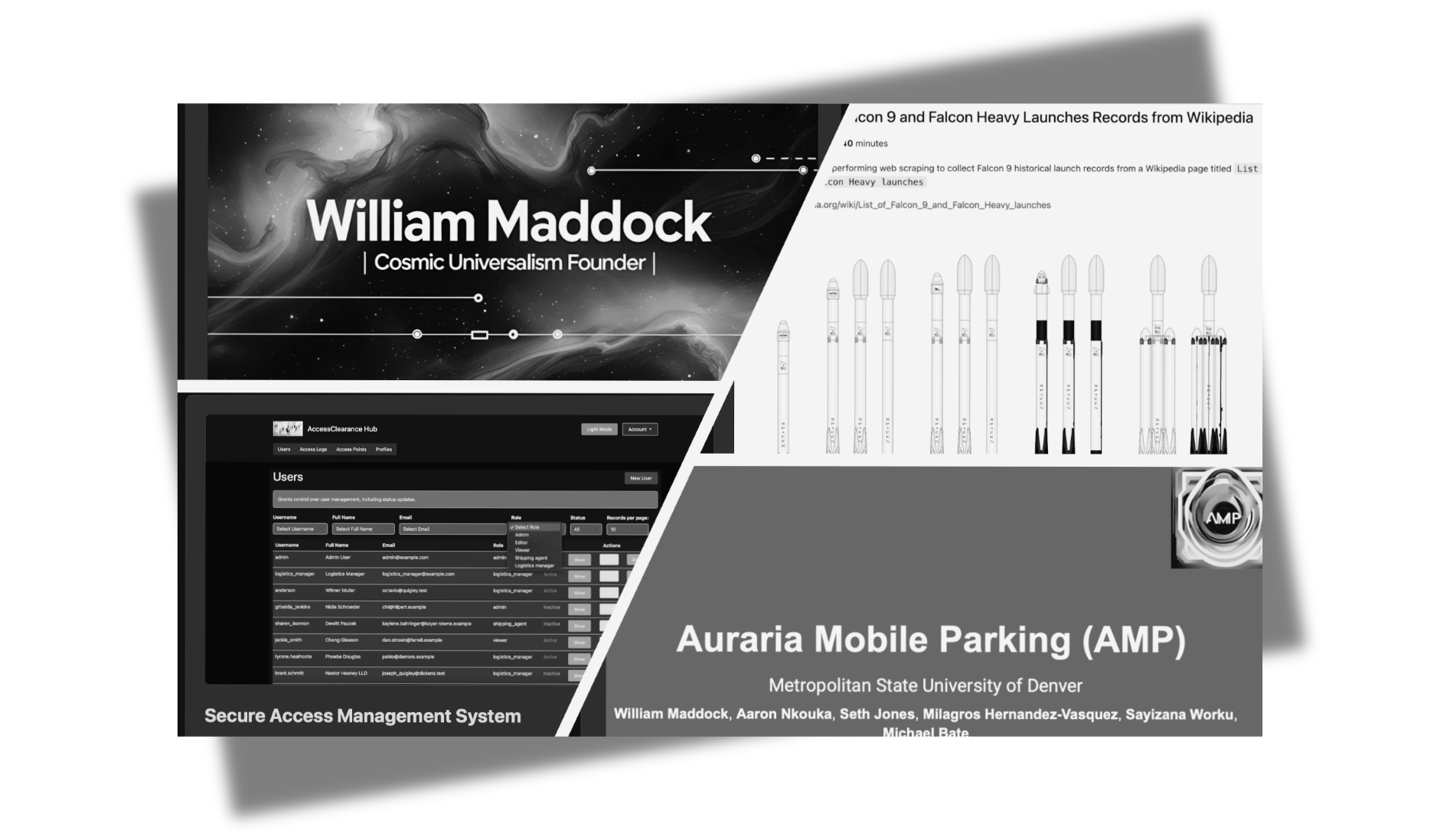Professional Experience Overview