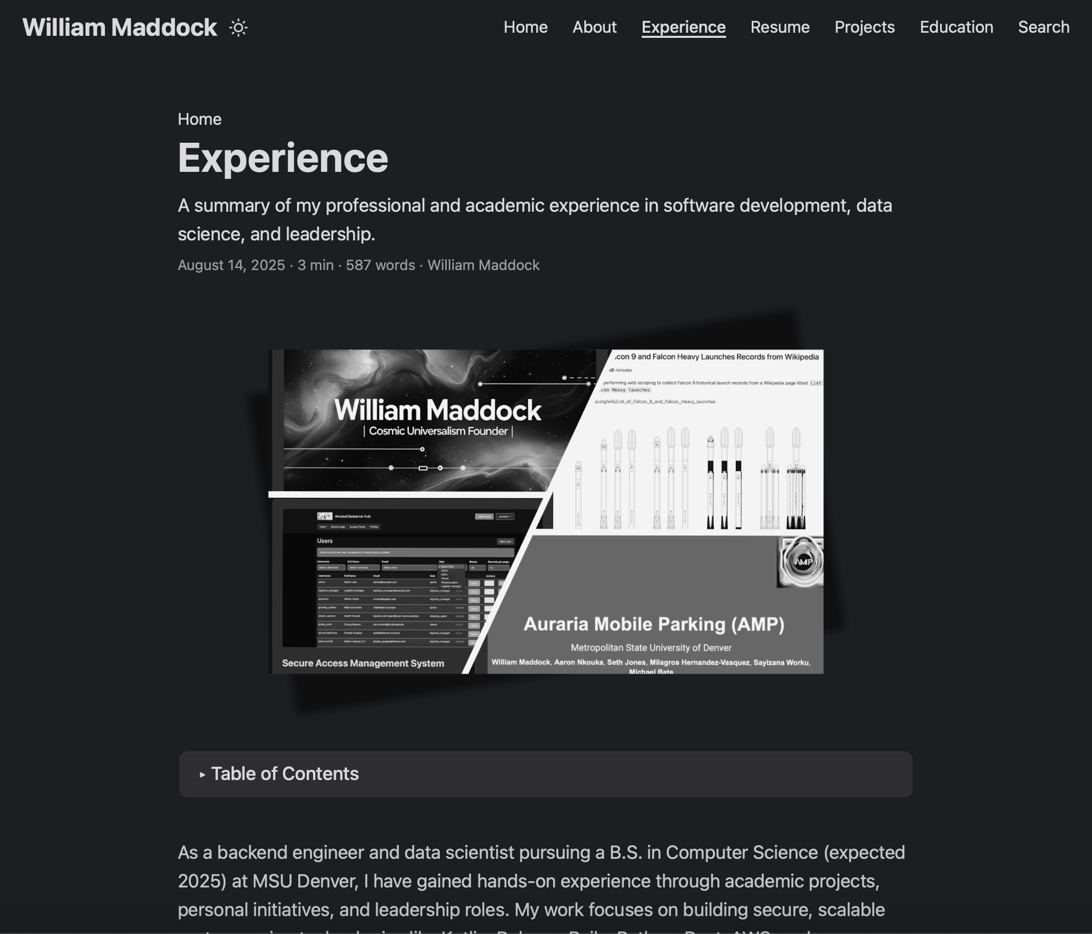 Portfolio Site Fun